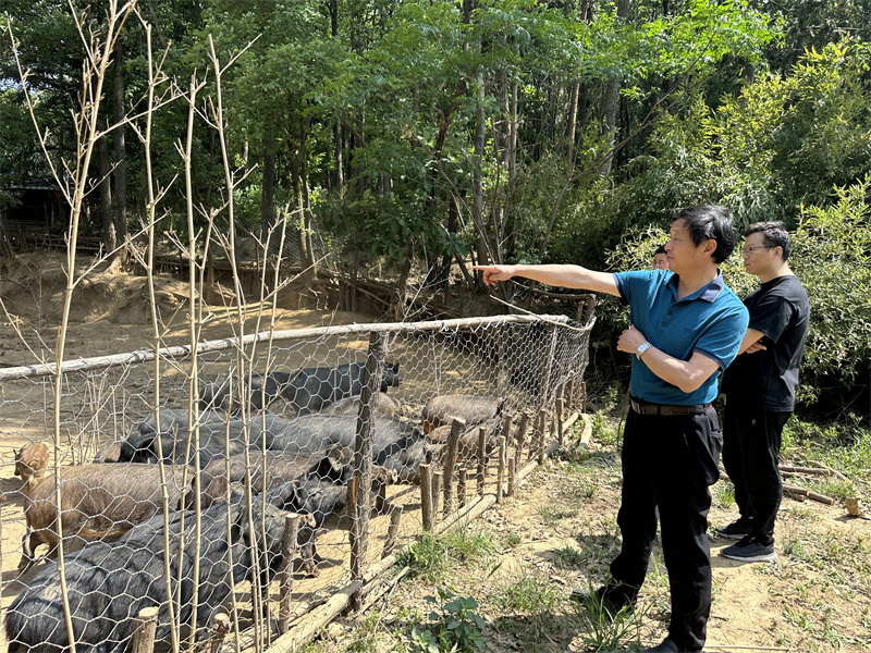 “追尋紅色足跡，擁抱生態(tài)夏意”-夏日?qǐng)F(tuán)建活動(dòng)9